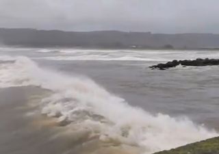 Marejadas y árboles caídos: efectos de los temporales del sábado