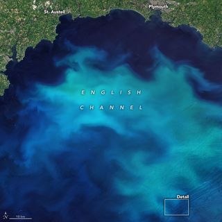 Floraciones de fitoplancton en las aguas alrededor del Reino Unido