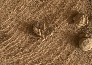 ¿Flores en Marte? La NASA explica el origen de su formación