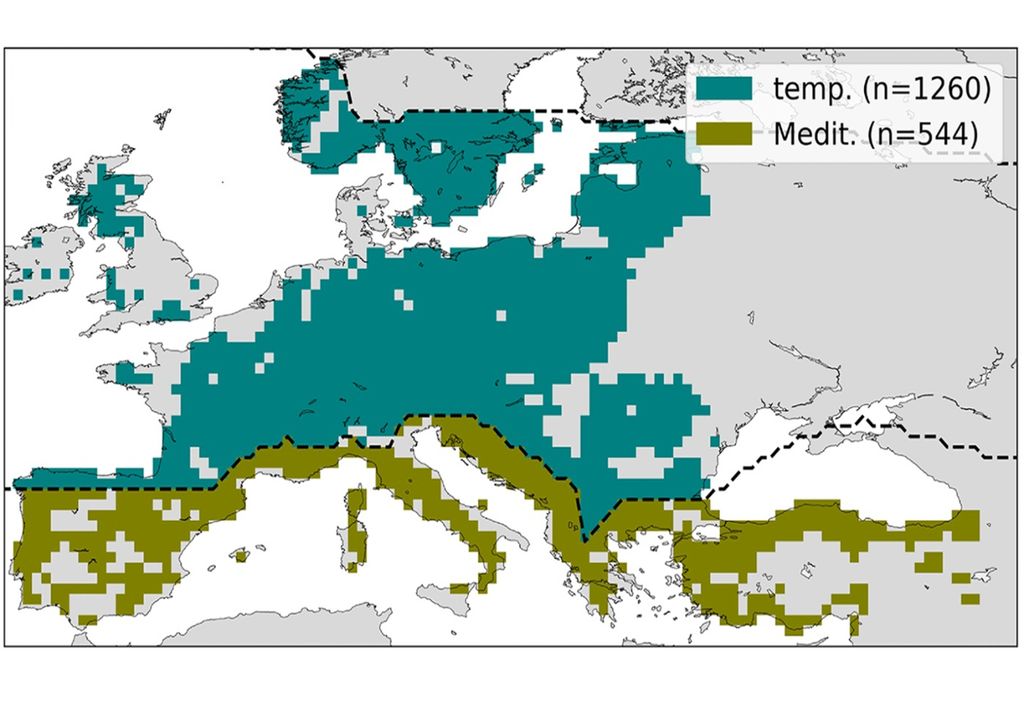 biomas temperado e mediterrâneo da Europa, localização, pontos biomas temperado e mediterrâneo da Europa, localização, pontos