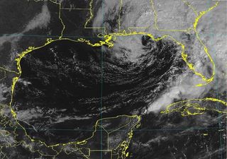 Florida se prepara ante la llegada de Néstor