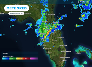 Florida Under Severe Storm Warnings Today into This Evening, Are Tornadoes Possible?