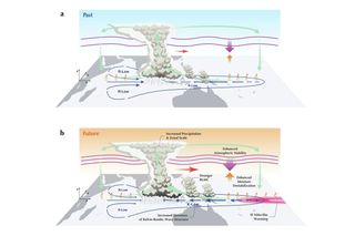 Los "latigazos" globales de precipitación, fuertes fluctuaciones de las precipitaciones y de las sequías, a más 