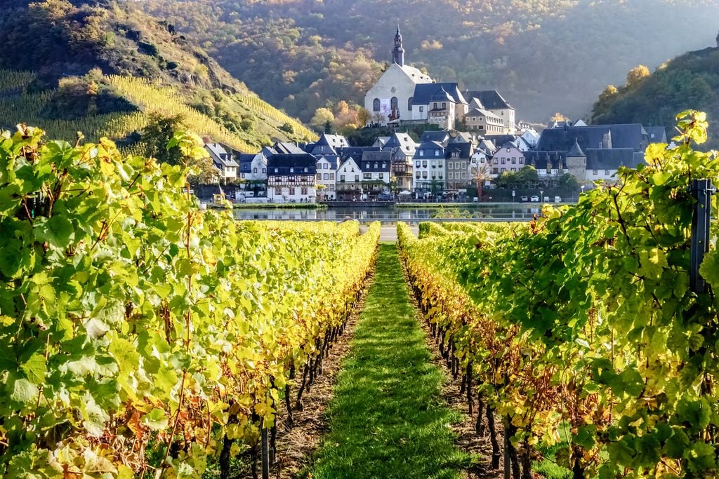 Beilstein Reben am Fluss und ein echtes Dornröschen: Dieses Dorf ist eines der schönsten an der Mosel. Foto: Adobe Stock