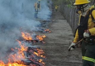 Focos de incêndios aumentam nos biomas brasileiros em março de 2024. Saiba quais foram os mais atingidos!
