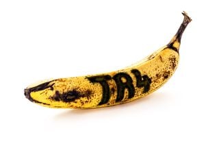 Conheça o fungo que ameaça a produção global de bananas e o que o Brasil precisa saber