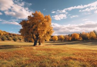 Foliage e forest bathing: dodici luoghi da scoprire nel Centro-Sud Italia, dove l’autunno sta arrivando