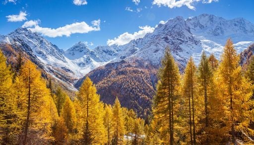 Foliage gi&agrave; a settembre? Ecco quali sono i primi boschi d'Italia a tingersi d&rsquo;oro