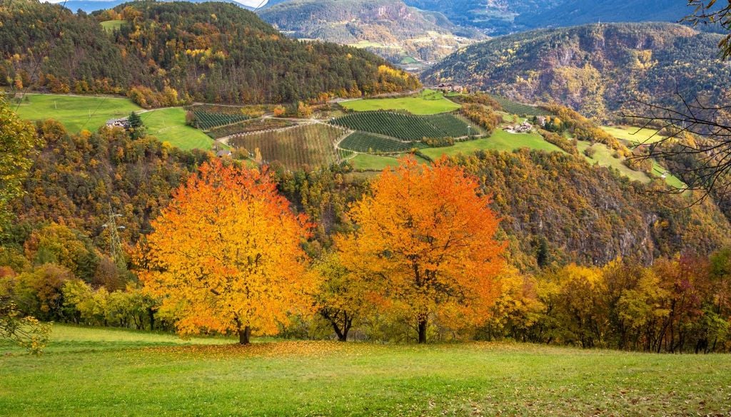 La Valle d'Isarco è tra i luoghi d'Italia che iniziano per primi ad assumere i colori dell'autunno