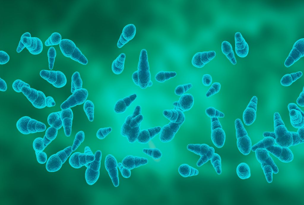 Soja, Trigo, agricultura, Brasil