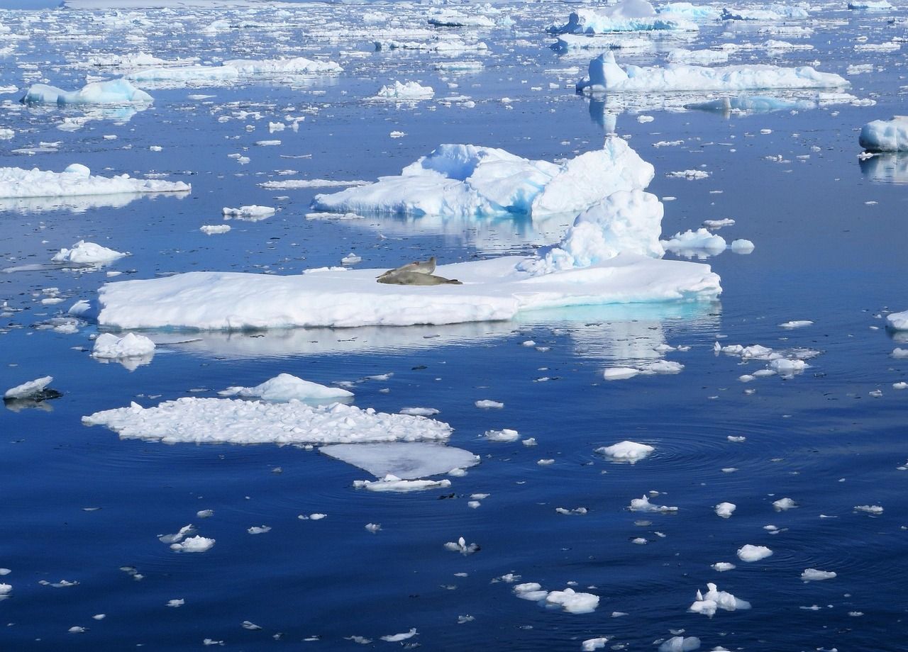 Fonte de la banquise arctique : quels impacts sur la météo et le climat