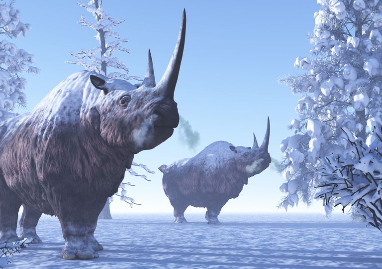 https://services.meteored.com/img/article/fonte-permafrost-yakoutie-un-rhinoceros-laineux-vieux-de-20-000-ans-decouvert-en-siberie-304471-1_768.jpeg