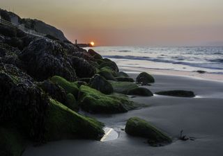 Footprints in the sand provide evidence of UK’s last dinosaurs