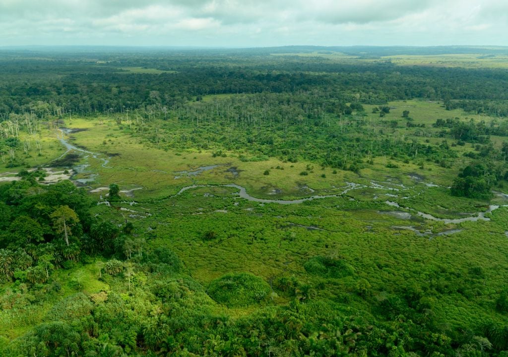 bais; ecossistemas africanos