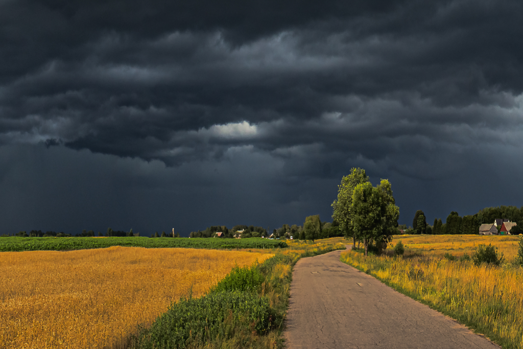 Numerous severe thunderstorms are expected today in the Great Lakes and Midwest.