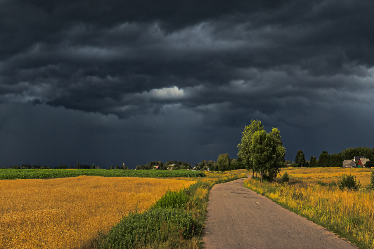 Forecast: Intense winds and tornado threat for the Midwest and Great ...