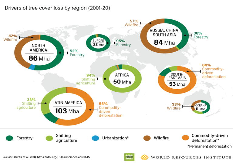 Bosques deforestación cambio climático Bosques deforestación cambio climático