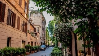 Foreste urbane per ridurre l'impatto delle ondate di calore: uno studio conferma l'importanza degli alberi nelle citt&agrave;