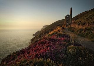 Forgotten mine appears under new road construction in Cornwall