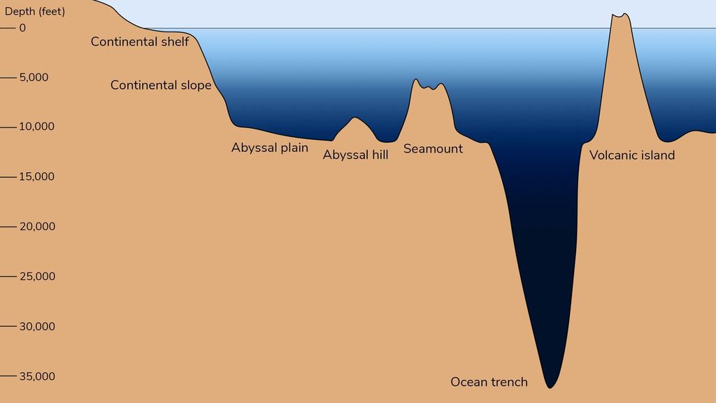 Graphique montrant diverses caractéristiques du plancher océanique sur une échelle allant de 0 à 35 000 pieds sous le niveau de la mer. Crédit : NOAA Office of Education