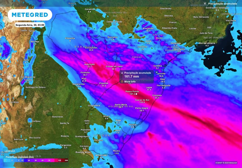 Previsão de chuva acumulada até o fim do domingo (29), de acordo com o ECMWF.