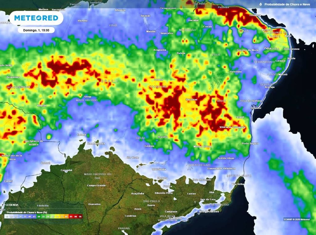 Previsão da probabilidade de precipitação (%) para o domingo (1º) à tarde (15h), segundo o modelo europeu ECMWF.