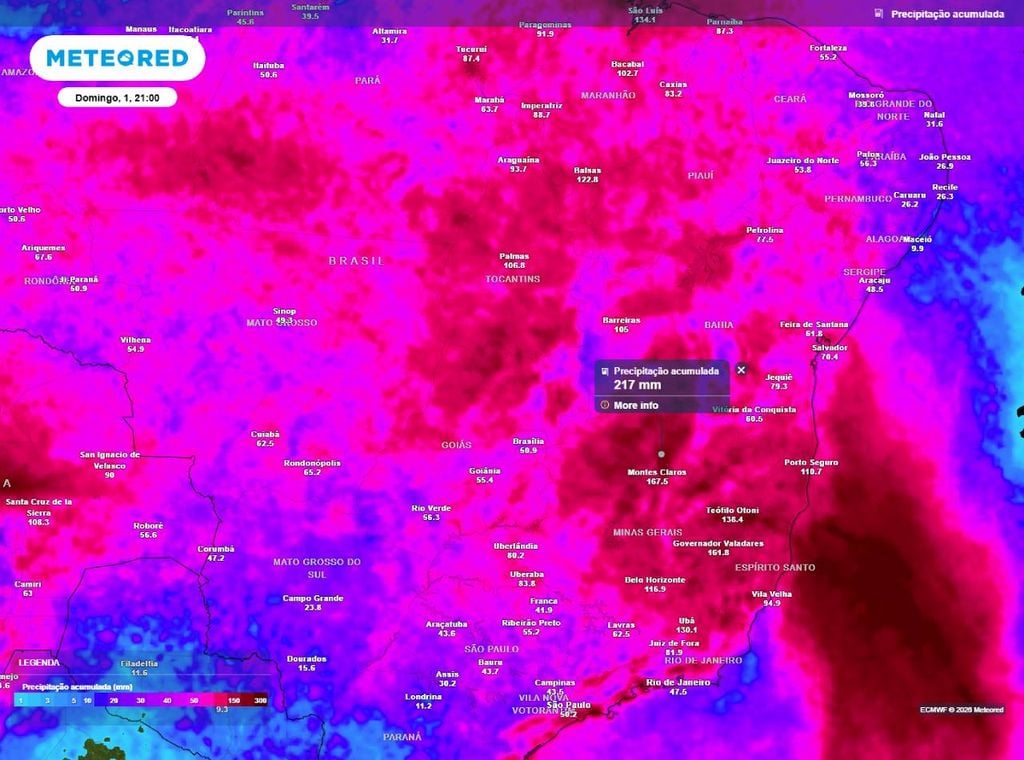 Previsão do acumulado de precipitação (em mm) até o domingo (1º) à noite (21h), segundo o modelo europeu ECMWF.