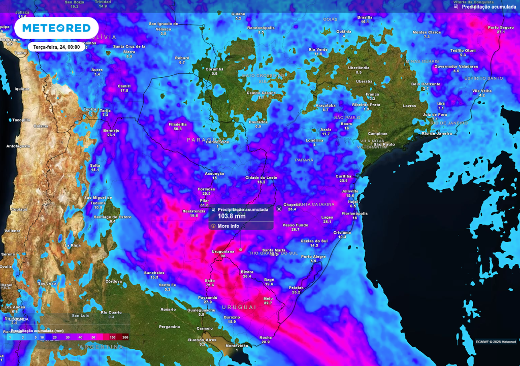 Previsão de chuva acumulada até o final da segunda-feira (23), de acordo com o ECMWF.