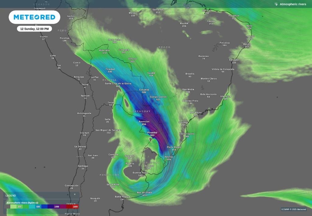 Previsão de rio atmosférico neste domingo (12), de acordo com o ECMWF.