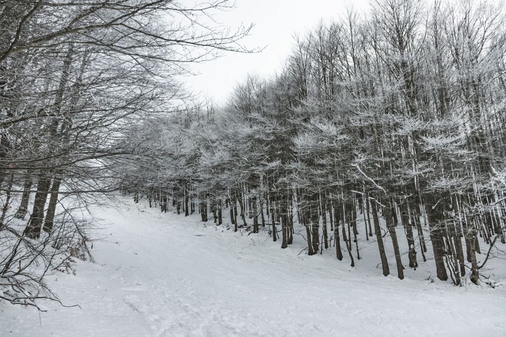 L'aria fredda di origine artica porterà ancora neve sulle nostre montagne, in particolar modo su quelle dell'Appennino centrale e settentrionale a quote relativamente basse, localmente di bassa montagna o alta collina.