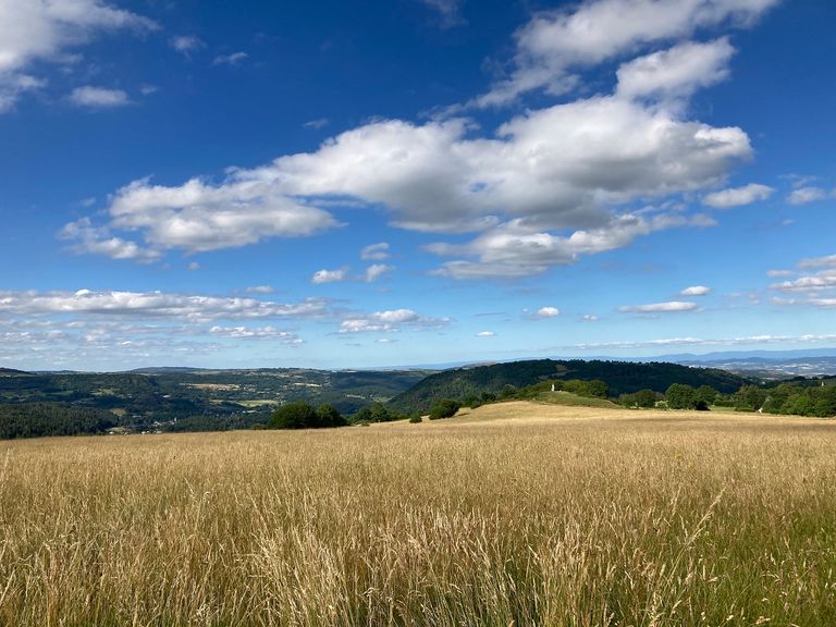 Fortes chaleurs : vers une nouvelle canicule autour de la mi-juillet ? Fortes chaleurs : vers une nouvelle canicule autour de la mi-juillet ?