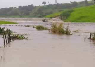 Fortes chuvas causam prejuízos no leste da Região Nordeste