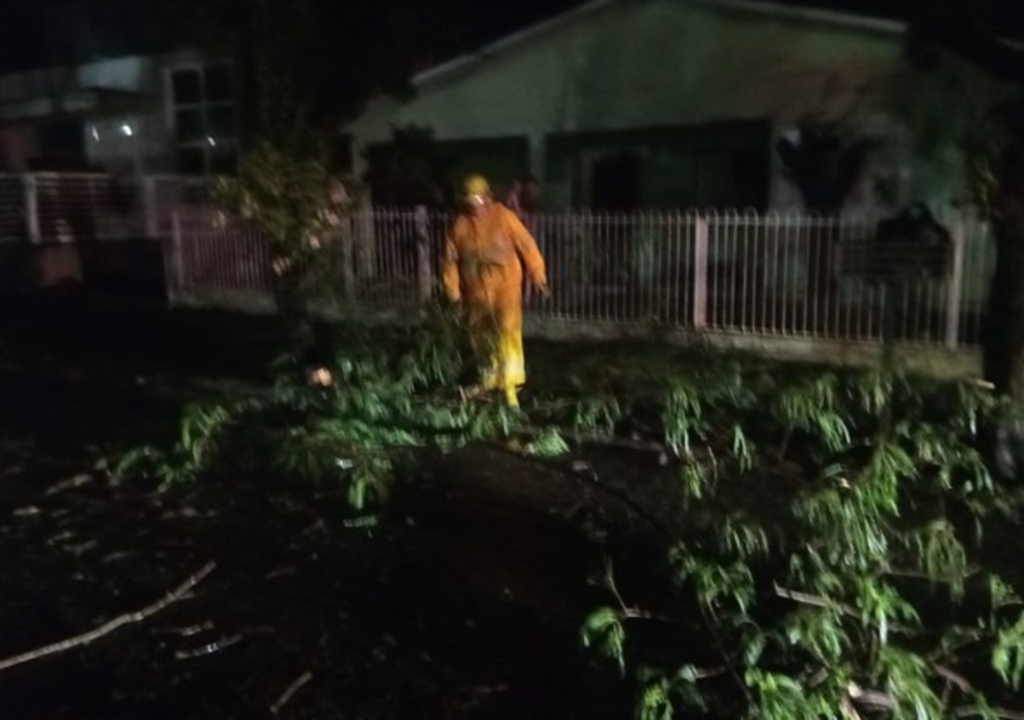 Estragos em Cunha Porã, e outras cidades de SC incluem alagamentos e queda de árvores.