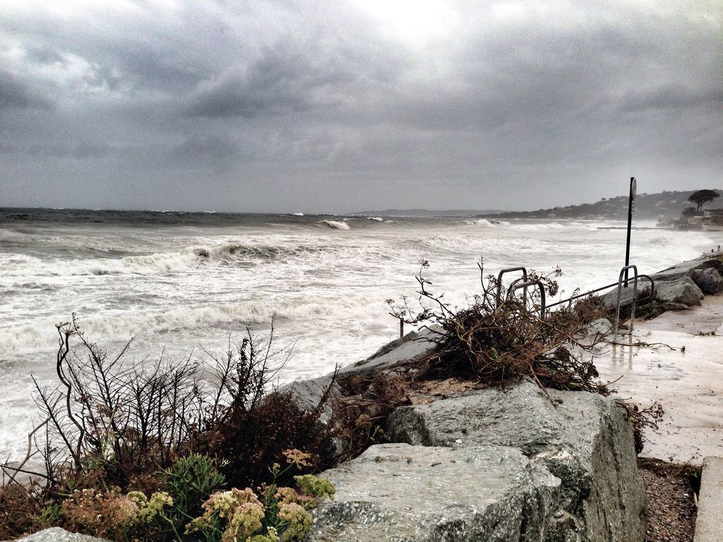 Ces fortes pluies s'accompagneront de rafales de vent de l'ordre de 60 à 80 km/h sur le littoral de la Grande Bleue. Ces fortes pluies s'accompagneront de rafales de vent de l'ordre de 60 à 80 km/h sur le littoral de la Grande Bleue.
