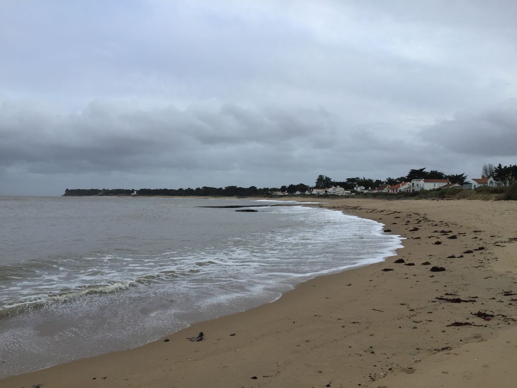 Si le bleu domine depuis plusieurs semaines en Méditerranée, c'est le gris qui s'impose partout ailleurs avec des pluies fréquentes. Si le bleu domine depuis plusieurs semaines en Méditerranée, c'est le gris qui s'impose partout ailleurs avec des pluies fréquentes.