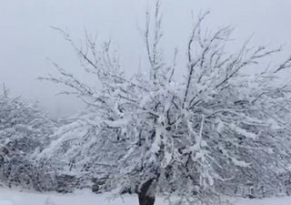 Forti nevicate travolgono il Kurdistan: i video