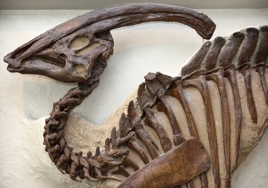 Hadrosaurier mit röhrenförmigem Kamm, Kanada, 2016
