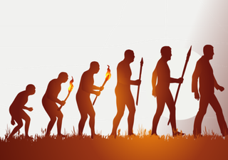 Fósseis inéditos na Etiópia desafiam a história da evolução humana