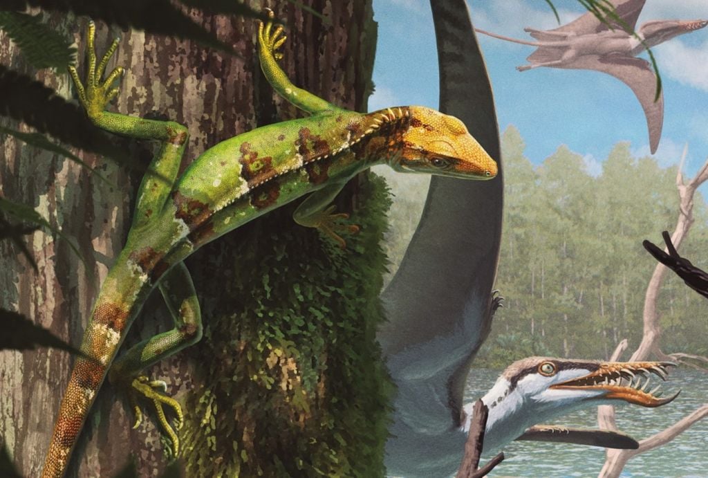 Representação artística de Sphenodraco scandentis