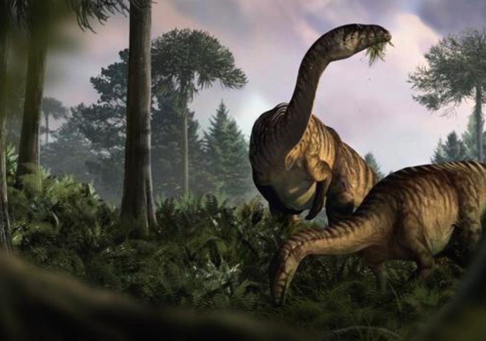 fossil-poo-reveals-how-dinosaurs-would-have-lived-200-million-years-ago-1732913832653.jpg