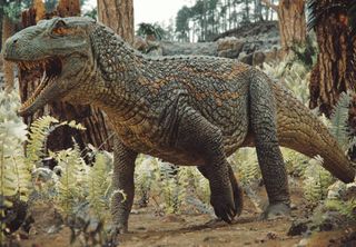 Fóssil raro encontrado no Rio Grande do Sul revela ligação entre as faunas brasileira e africana