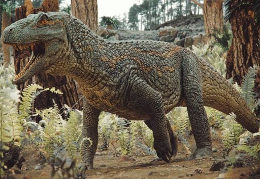 F&oacute;ssil raro encontrado no Rio Grande do Sul revela liga&ccedil;&atilde;o entre as faunas brasileira e africana