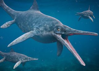 Un dragon des mers de 10 mètres de long découvert au Royaume-Uni !