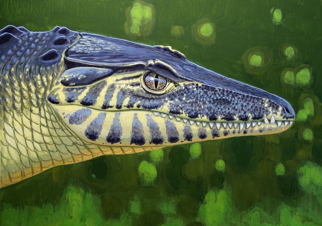 Das landlebende, inzwischen ausgestorbene Krokodil Doratodon carcharidens mit dem langen Schädel und den gezackten Zähnen könnte wie in dieser künstlerischen Darstellung ausgesehen haben. Bild: Márton Zsoldos