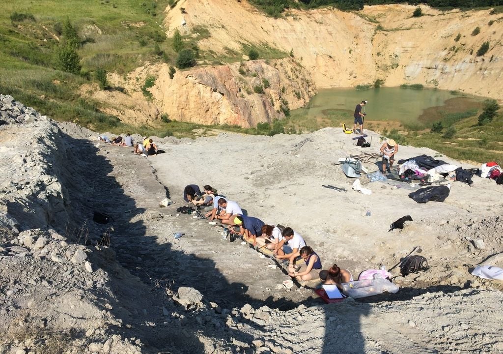 Ausgrabungen an der Fossilienfundstätte Iharkút in Ungarn. Bild: Attila Ösi