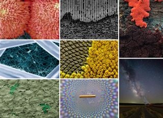 Fotciencia anuncia las mejores fotografías científicas de 2021