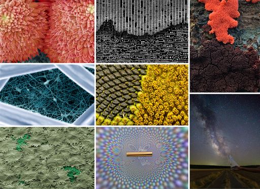 Fotciencia anuncia las mejores fotograf&iacute;as cient&iacute;ficas de 2021