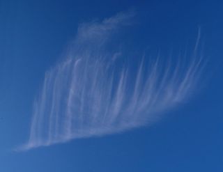 Foto Nube forma de pluma