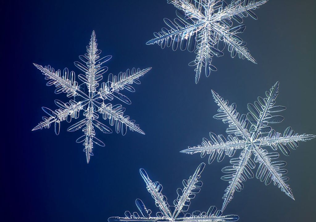 ¡El fotógrafo captura copos de nieve con una atención al detalle sin precedentes!