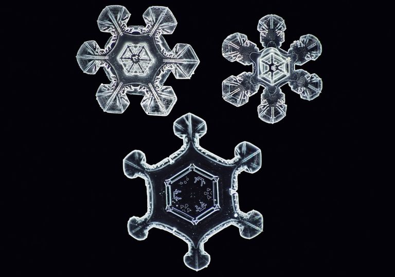 Why No Two Snowflakes are Identical and 4 Other Fun Facts